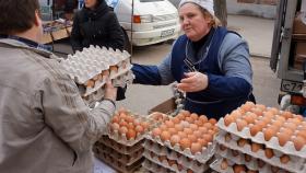 Россельхознадзор опровергает перебои с импортом инкубационных яиц